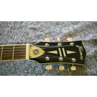 Chitarra elettrica, Framus 5/131 Hollywood DC Black Rose