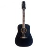 Ashton Acoustic D25/12 12 strings