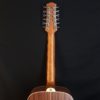 Ashton Acoustic D25/12 12 strings