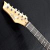 Ashton Stratocaster AG232LBK LH