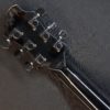 Grass Roots by ESP Les Paul Sugizo
