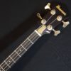 Ibanez Musician Bass MC924 Japan 1985