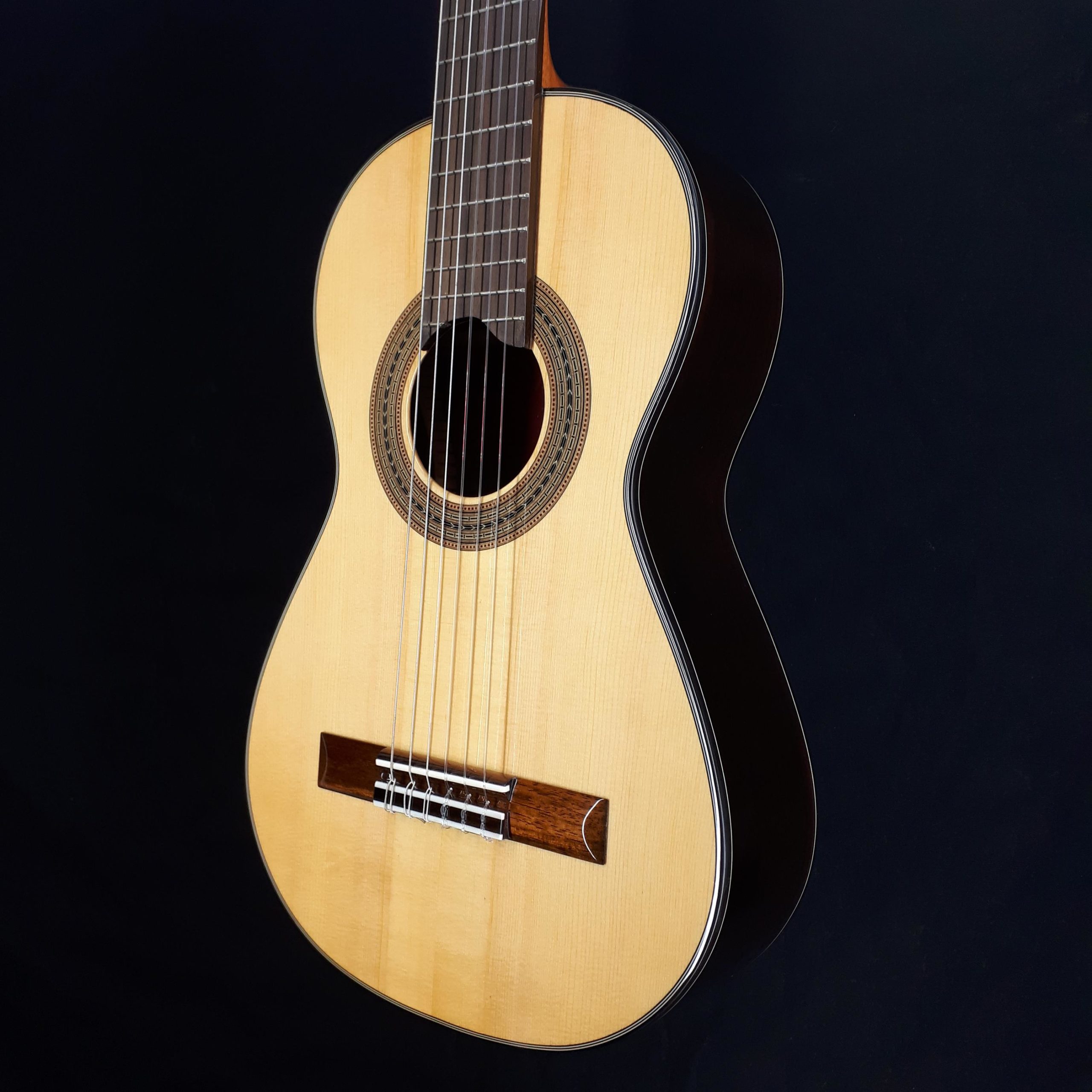 Martinez 島村楽器コラボ 限定モデル MFG-RS CET SLTD - ギター