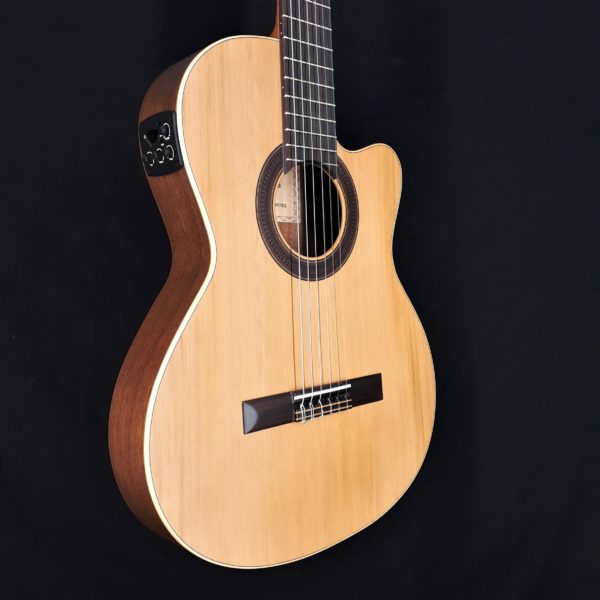Prodipe 6 String Classical Guitar SA27 MHS 