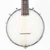 mandolina banjo